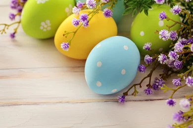 Flowers Images Hd Collection (39+)