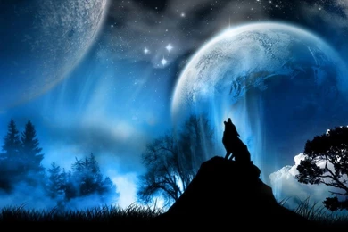 Toshiba Excite 7.7 Tablet Wallpapers: Crying Wolf Android Wallpapers