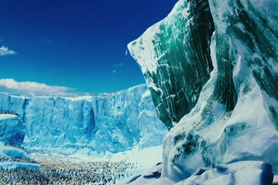 Penguin Colony From Happy Feet Two Desktop Wallpapers