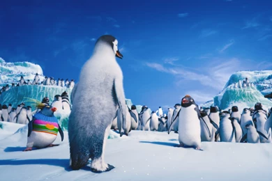 Happy Feet 2 Penguins Desktop Wallpapers