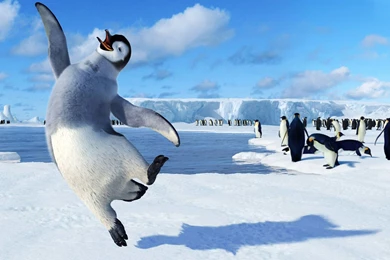 Happy Feet Wallpapers