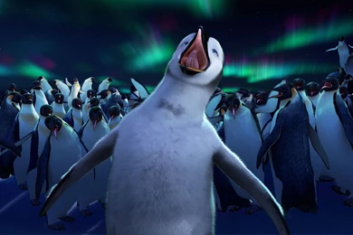 Cartoon Picture Collection