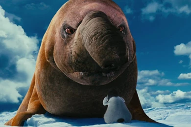 Erik And The Elephant Seal From Happy Feet Two Desktop Wallpapers