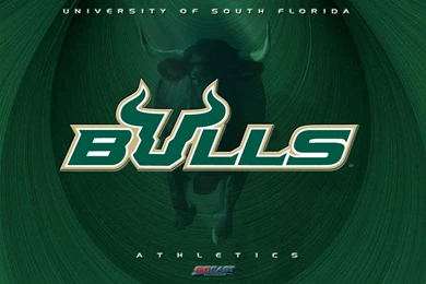 2007 08 GoUSFBulls.com Wallpapers   GoUSFBulls.com—Official ...