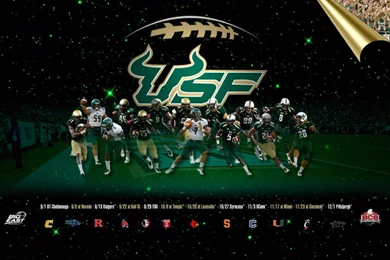 GoUSFBulls.com 2012 13 Wallpapers   GoUSFBulls.com—Official ...