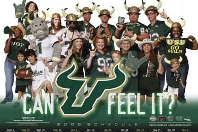 Training Camp Central: Wallpapers Unveiled   GoUSFBulls.com ...