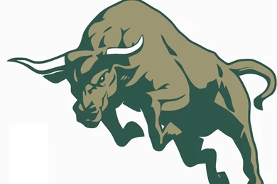 Bull Logo   ClipArt Best