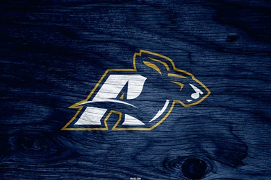 2013 NCAA FBS Weathered Wood Wallpapers   Album On Imgur