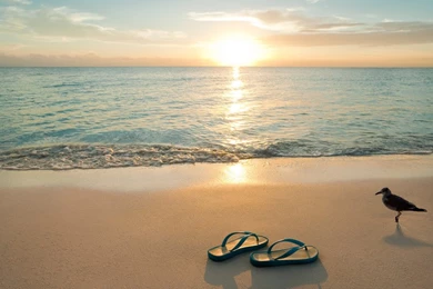 Wallpapers For Gmail   Wallpapers Zone