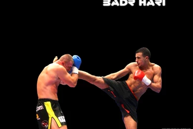 Wallpapers Mma Kick Boxing 1024x768