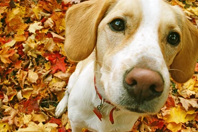 YouWall Hug Me Please Wallpapers Wallpaper,wallpapers,free ...