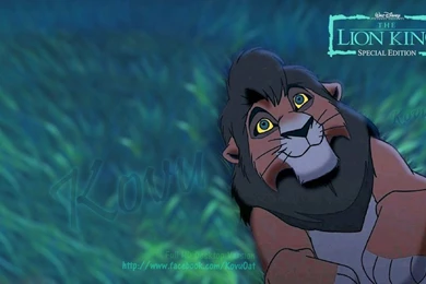 Desktop Backgrounds Adult