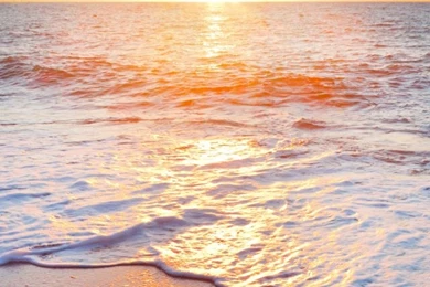 Golden Beach iPhone 5s Wallpapers Download