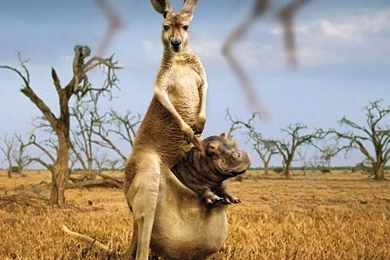 Amazing Effect   Fantasy Wallpapers (13994028)   Fanpop