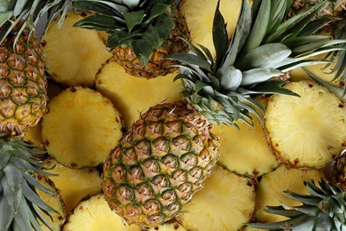 20 Pineapple HD Wallpapers