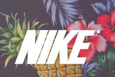 Colour, Flowers, Pineapple, Wallpapers   Image