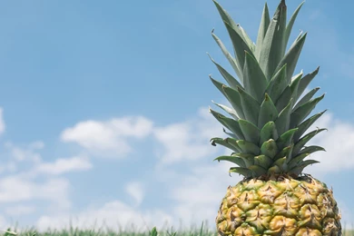 Pineapple 21:9 Wallpapers