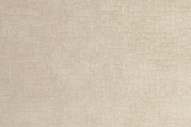 Prestigious Textiles Mood Wallpapers   Linen 1926 031