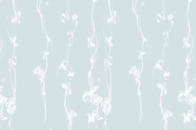 Linen Wallpapers / Traditional / Patterned   ARA   Trove