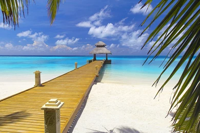 Beautiful Beach Hd Wallpapers (92)