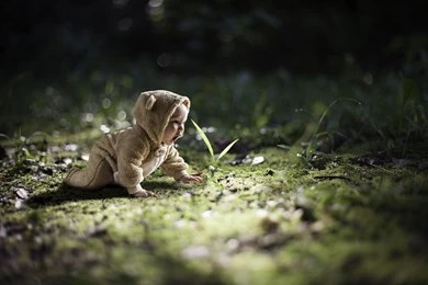 Baby Bear Suit Walking In Woods Wide HD Wallpapers   OmWallpapers