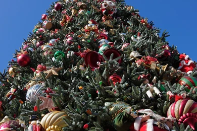 Christmas Tree Desktop Wallpapers