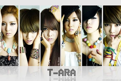 T ara Wallpapers HD Download