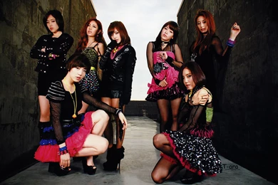 T ara Sparkle Beautiful Combination Photo HD Wallpapers 8 － Female ...