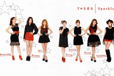 T ara Sparkle Beautiful Combination Photo HD Wallpapers － Female ...
