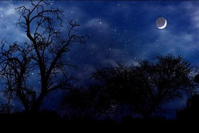 Night Nature Wallpapers