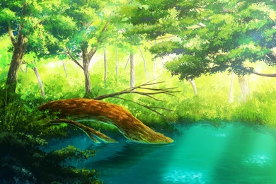 Original Forest Grass Leaves Original Scenic Tree Water Yuzuki ...