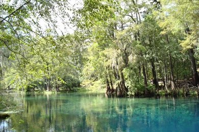 Fountain Of Youth   Manatee Springs