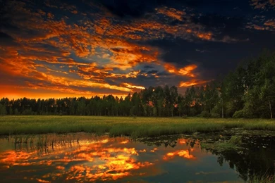 Clouds Forests Lakes Landscapes Nature Night Sky Sunset ...
