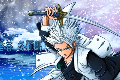 TOSHIRO HITSUGAYA WALLPAPER   (