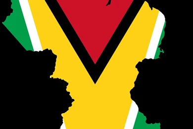 Flag Of Guyana JANCOK