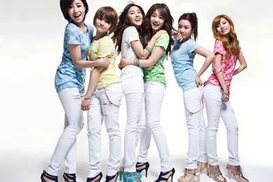 Intercrew 2010 Wallpapers « T ara Korean