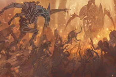 Jared Wardwell   About   Google+