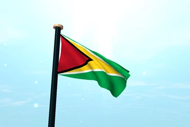 Guyana Flag 3D Free Wallpapers Android Apps On Google Play