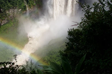 Kaieteur Falls   Wikipedia, The Free Encyclopedia