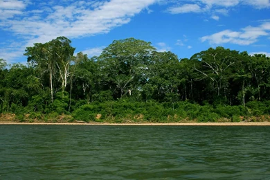 Dynamic International Airways