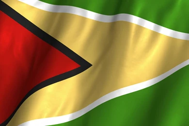 Guyana Waving Flag Stock Video 12279235