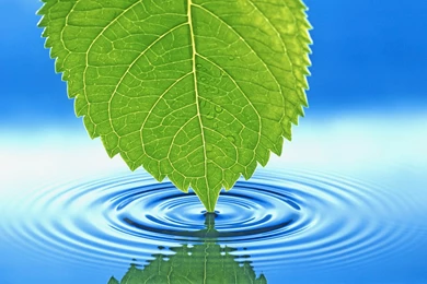 Cool Wallpapers 3D Images Q5K   Wallpapers HD Fix