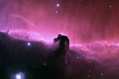 Wallpapers Sony Xperia Z4 Quad Hd Black Grapes 1440 2560 395   1440 ...