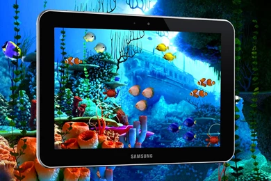 Tropical Fish LiveWallpapers   Android Apps On Google Play