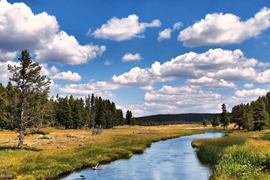 Download Beautiful River Desktop Wallpapers 5688 1366x768 Px High ...