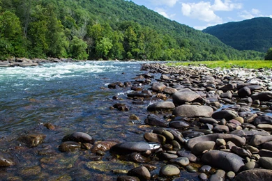 Frankenstein Vs The Mummy 2015 DVD Cover Awesome Picture Wallpapers ...