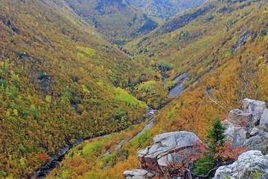 Mckenzie River Valley Oregon Free Desktop Backgrounds And Wallpapers