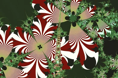 Fractal Art By Vicky Winter Flowers Wallpapers