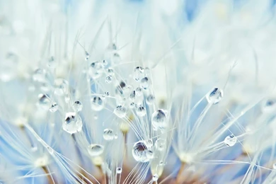 River Wallpapers Picture   Nekeran.com