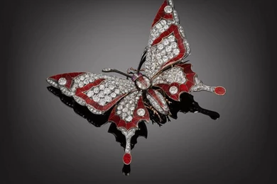 BUTTERFLY WALLPAPER   (